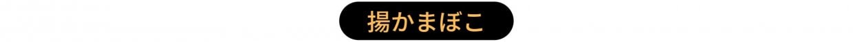 揚げ蒲鉾 しきしま蒲鉾 蒲鉾作り体験