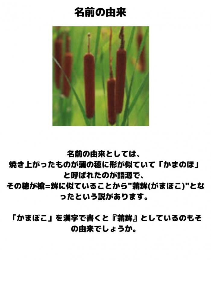 蒲鉾 名前の由来