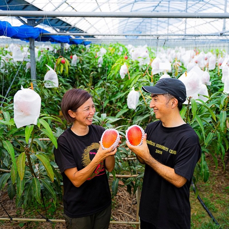 たくさんのマンゴーに囲まれた夫婦