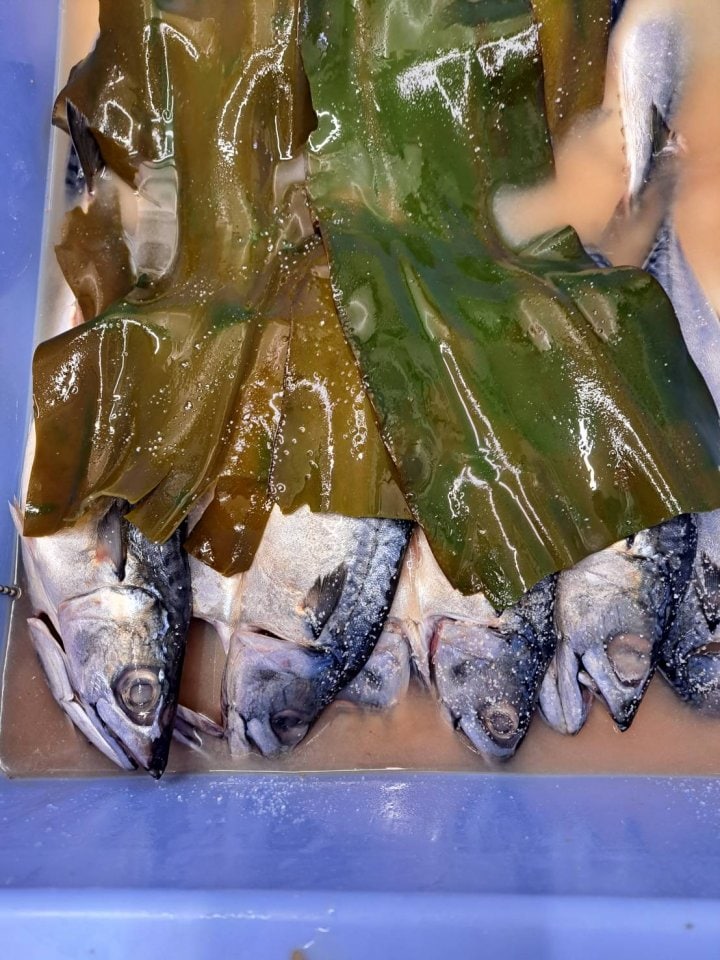 とろサバと昆布