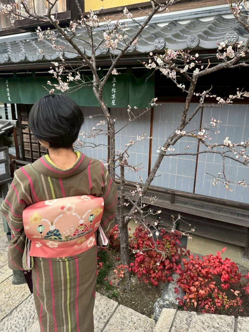 伊勢型木綿のコーデ