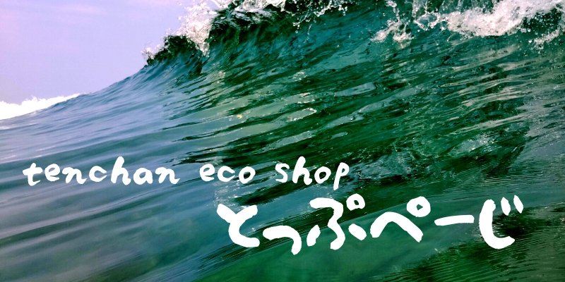てんちゃんのサーフィンクラブ　TOP