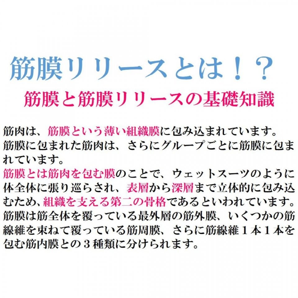 筋膜リーリースコース40分