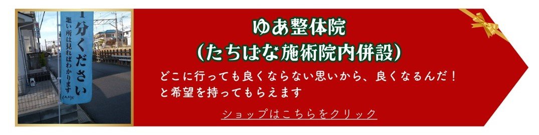 イルミライ印西イベント