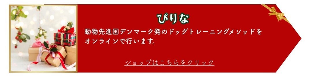 イルミライ印西イベント
