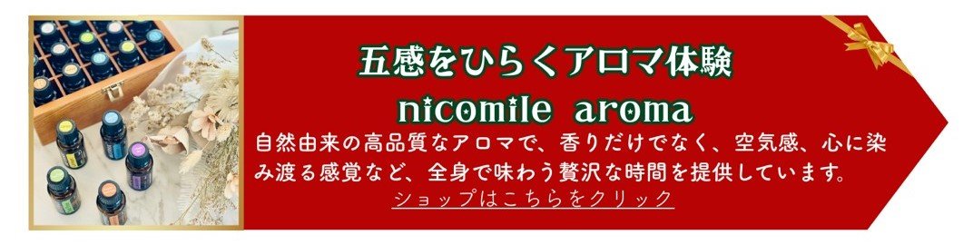 印西市クリスマスマーケット