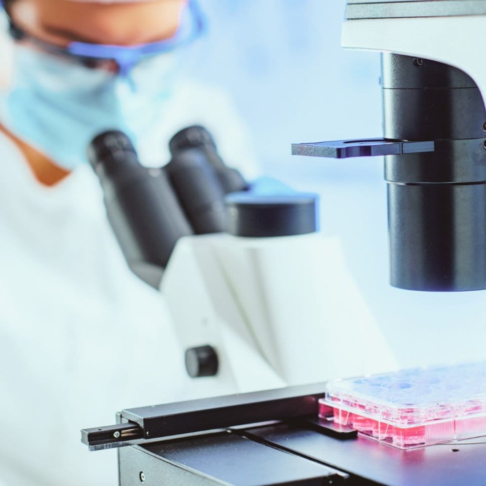 渋谷区おすすめ痩身エステサロン|美容通販ヒト幹細胞|エルクレスト 代々木公園店