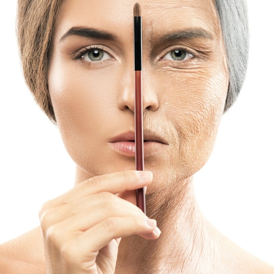 渋谷区おすすめ痩身エステサロン|美容通販ヒト幹細胞|エルクレスト 代々木公園店