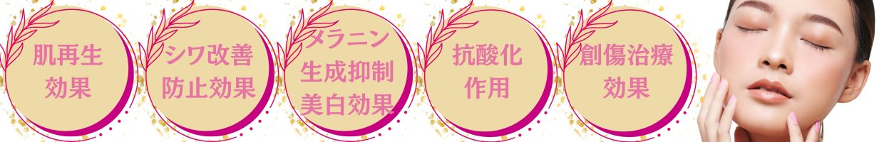 渋谷区おすすめ痩身エステサロン|美容通販ヒト幹細胞|エルクレスト 代々木公園店