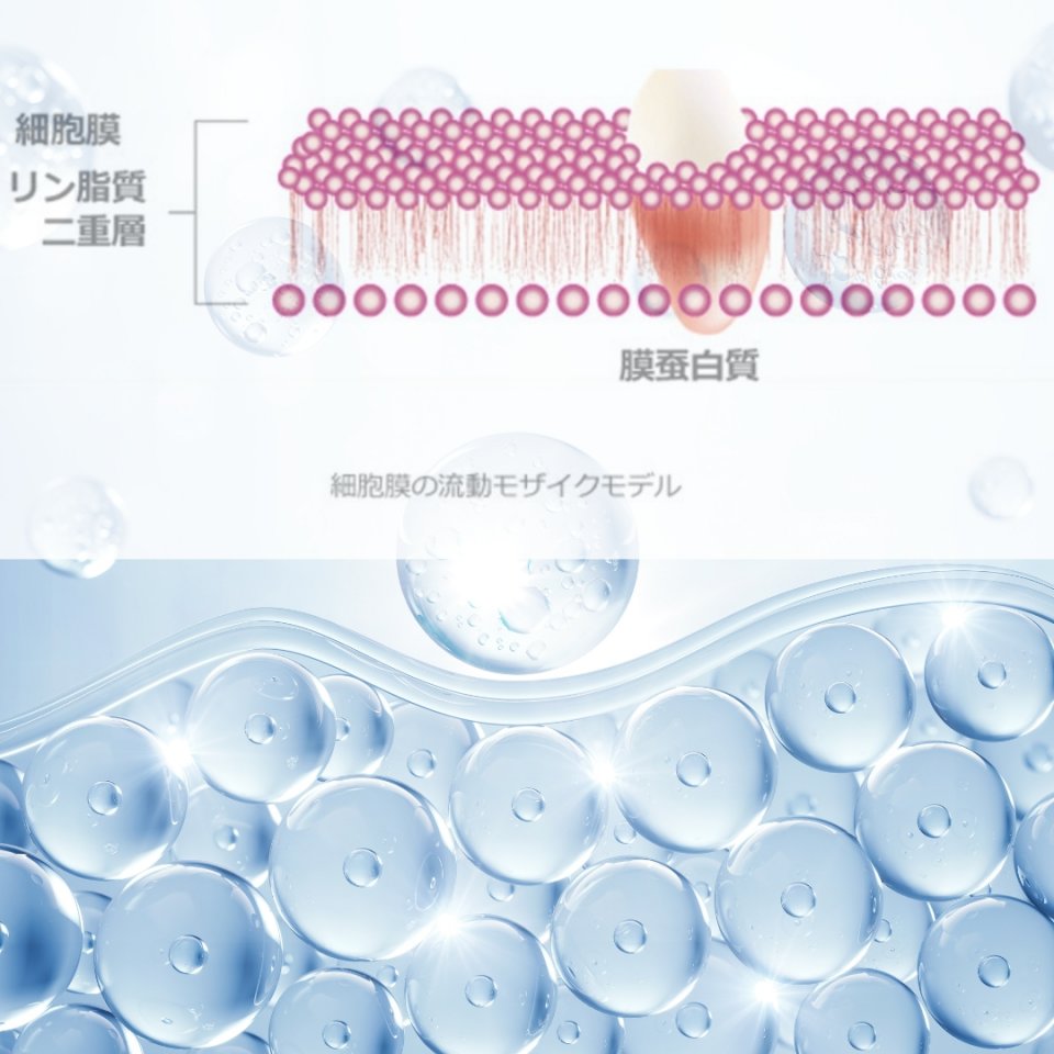 渋谷区おすすめ痩身エステサロン|美容通販ヒト幹細胞|エルクレスト 代々木公園店