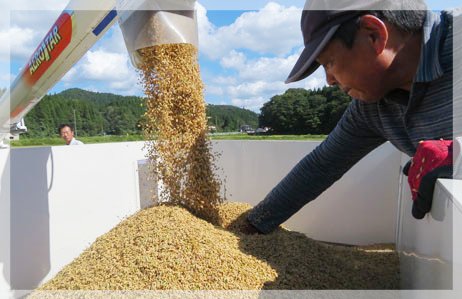 きららファームとは