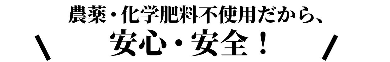 無農薬・無化学肥料だから安心・安全