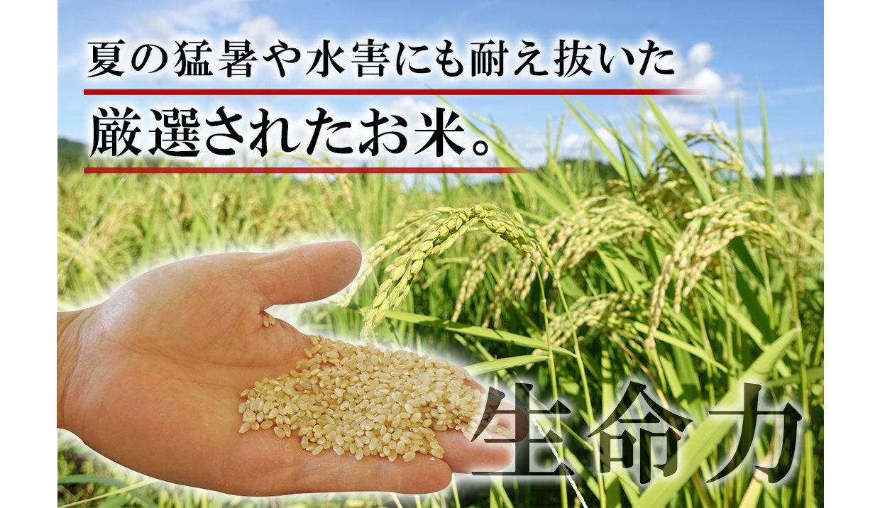 生命力あふれる選りすぐりのお米