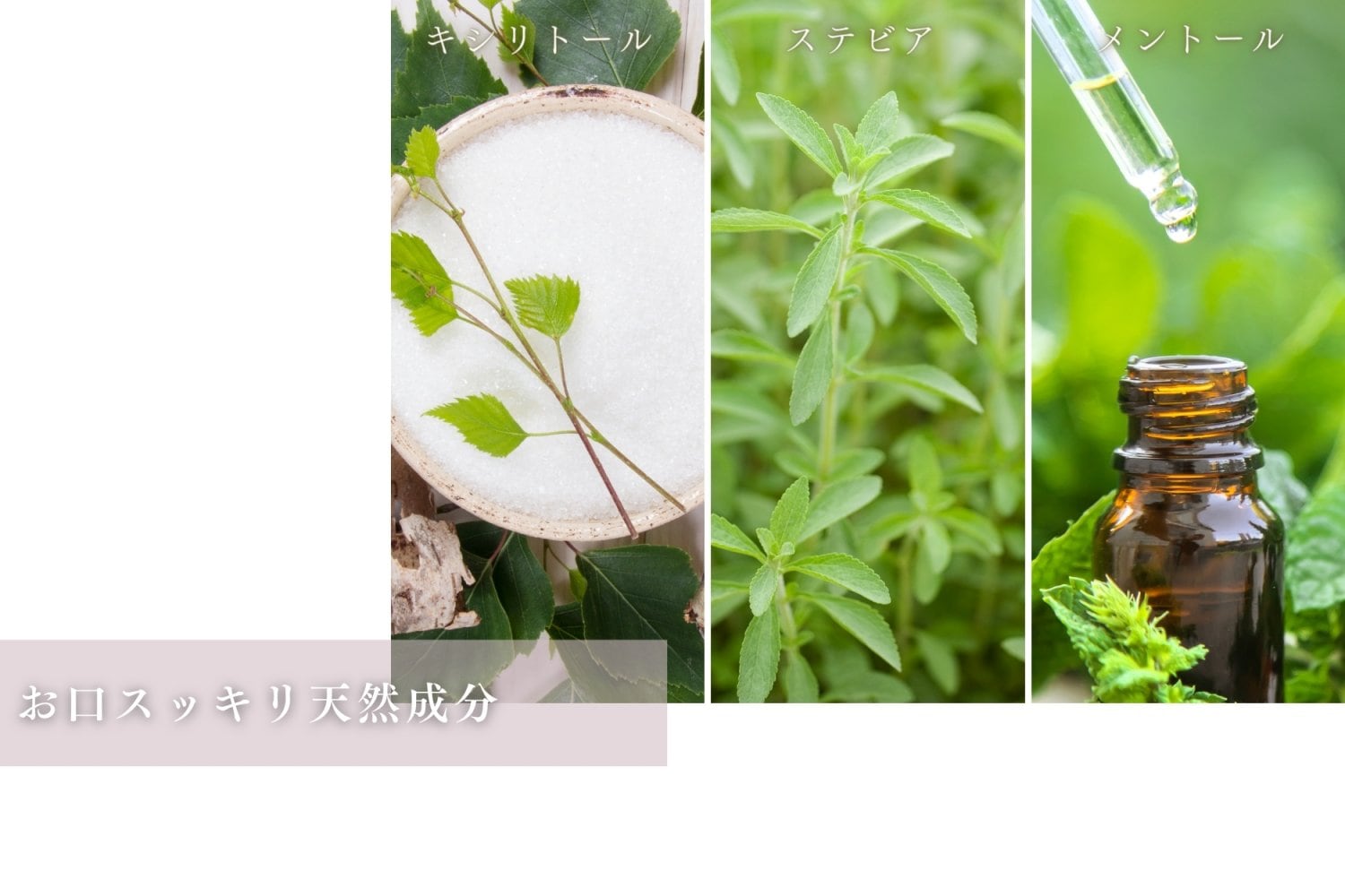 銀座古城歯科医院五代目院長開発オーガニックマウスウォッシュ