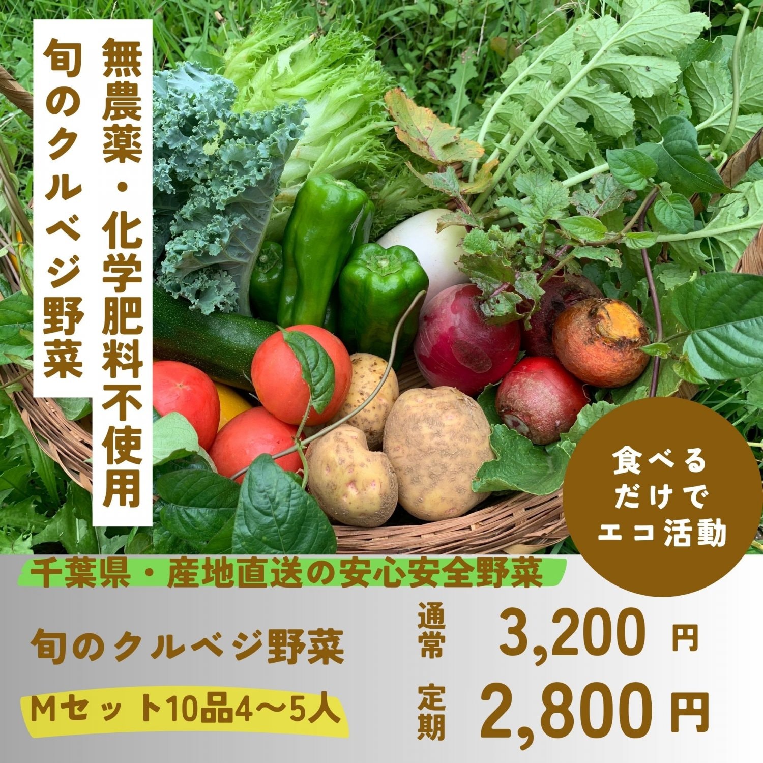 千葉県・産地直送の無農薬・化学肥料不使用の旬のクルベジ野菜Mセット