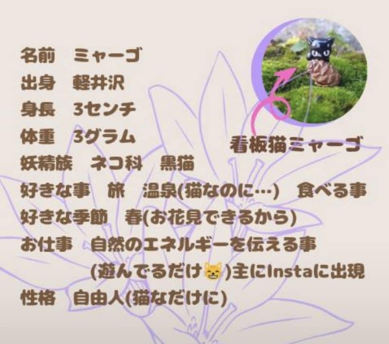 長野県諏訪　気功整体ヒーリング　タイ古式ヨガ　マッサージ　レイキ　水神の湯ゆーとろん　原村古民家サロン