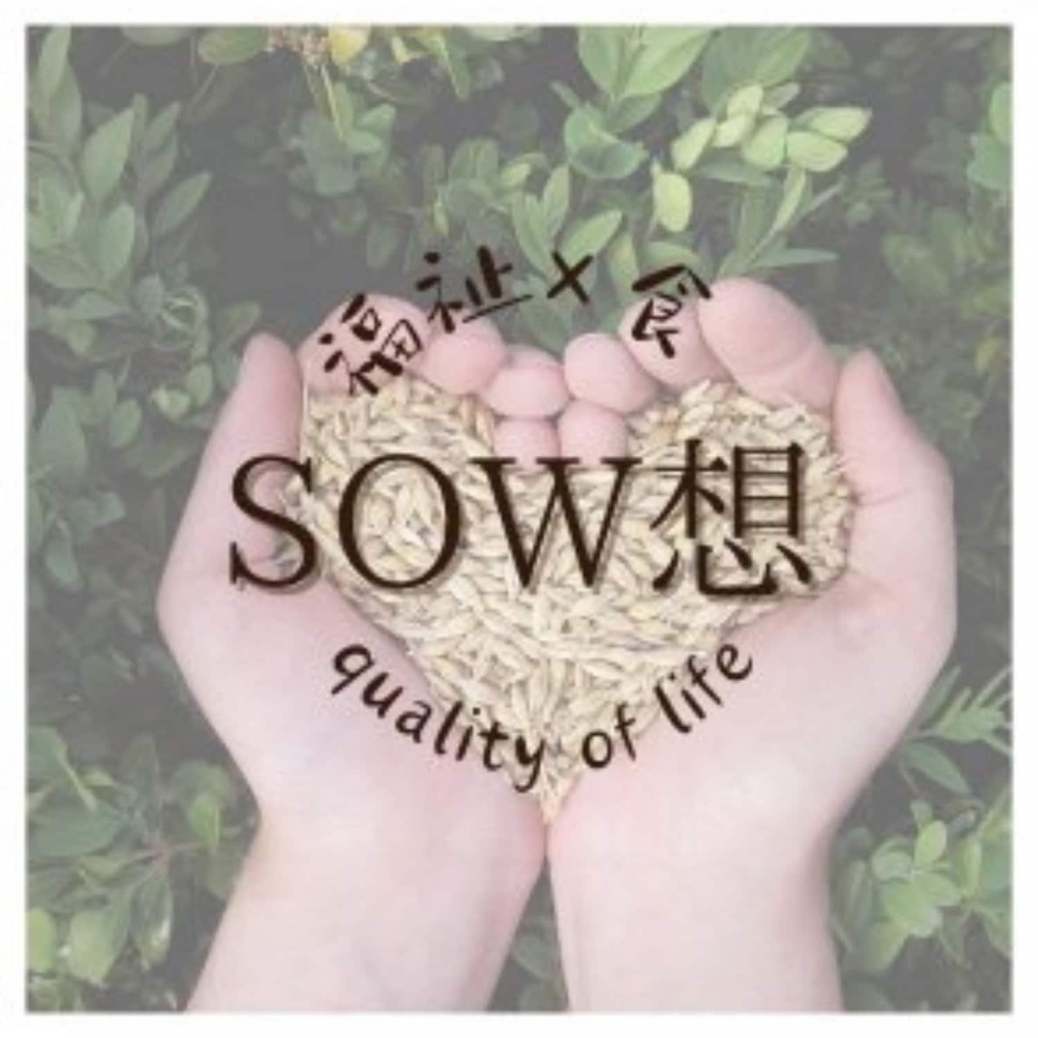 SOW想