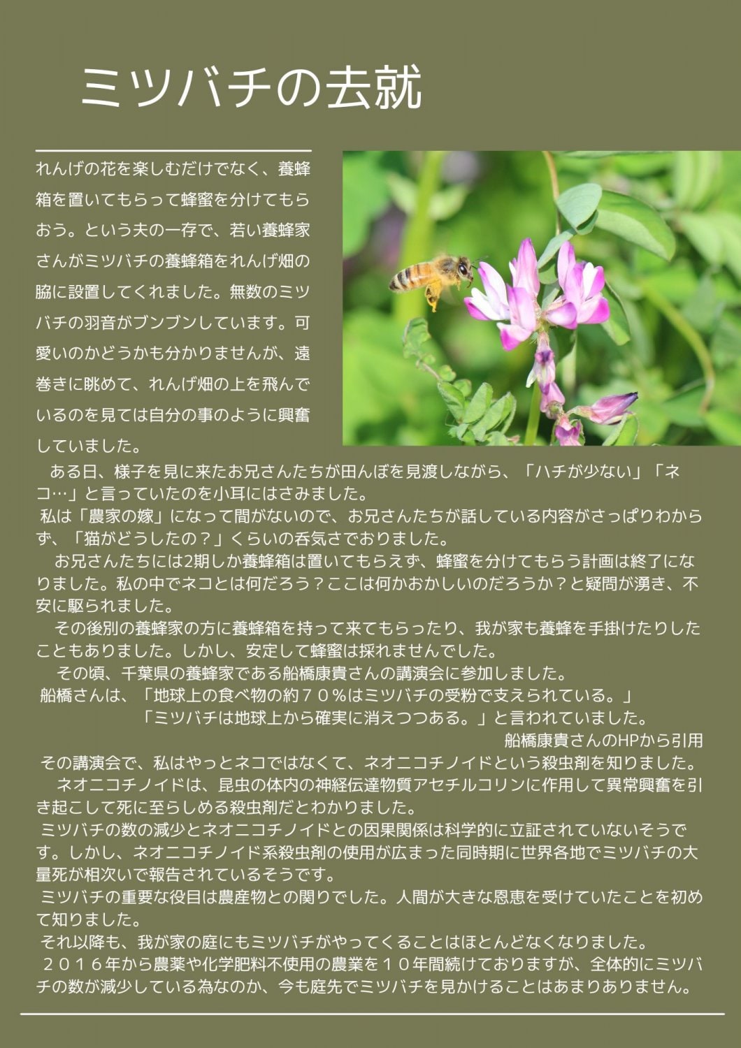 ミツバチの去就