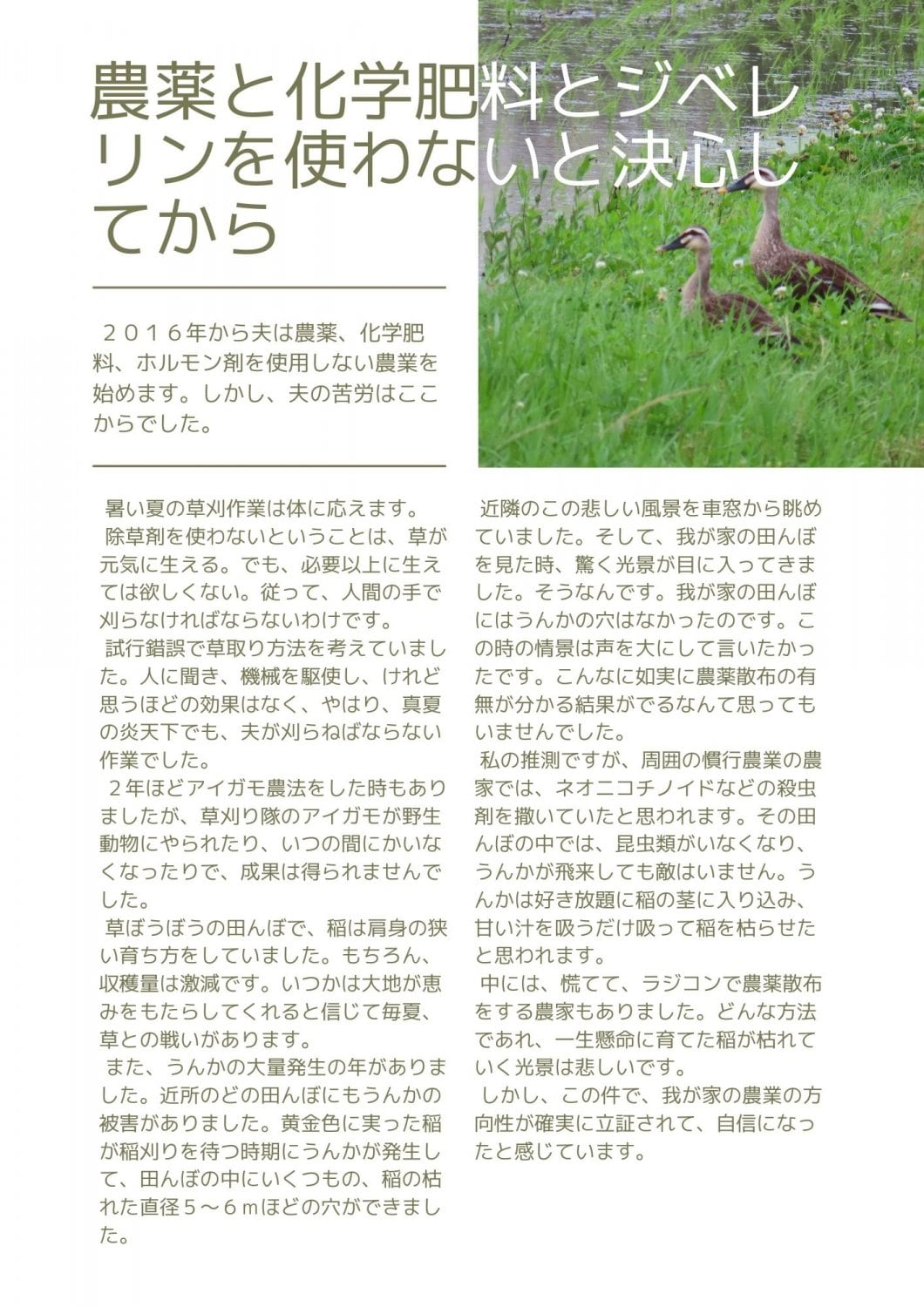 農薬と化学肥料とジベレリンを使わないと決心してから