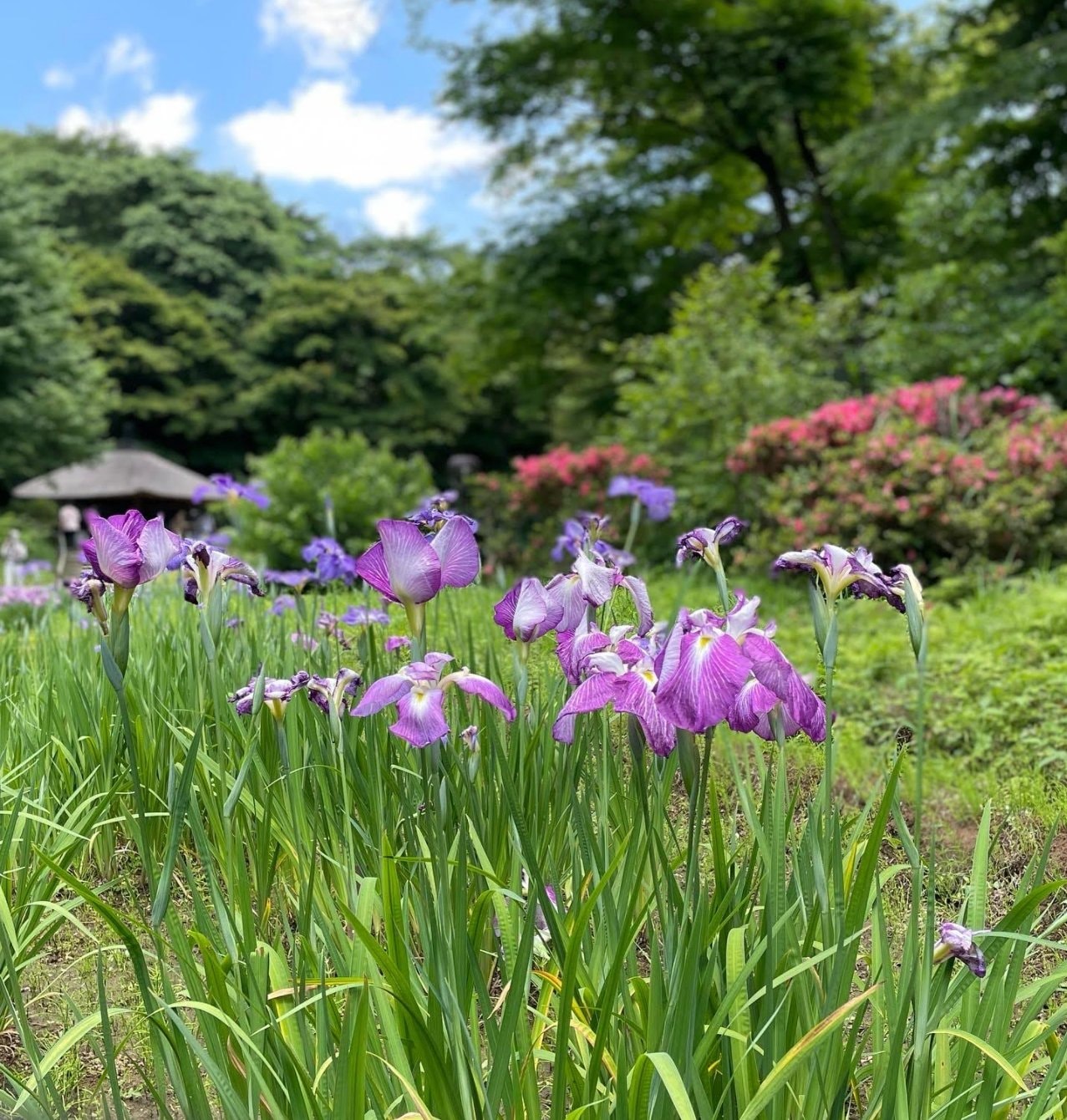 自由空間ひのまる放送局