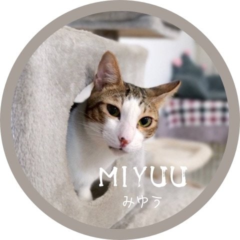 みゆう里親募集中