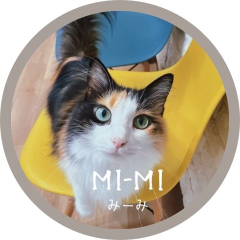 みーみ