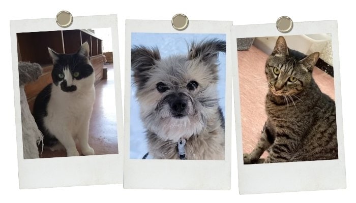 ペットの里　花蜜幸伸