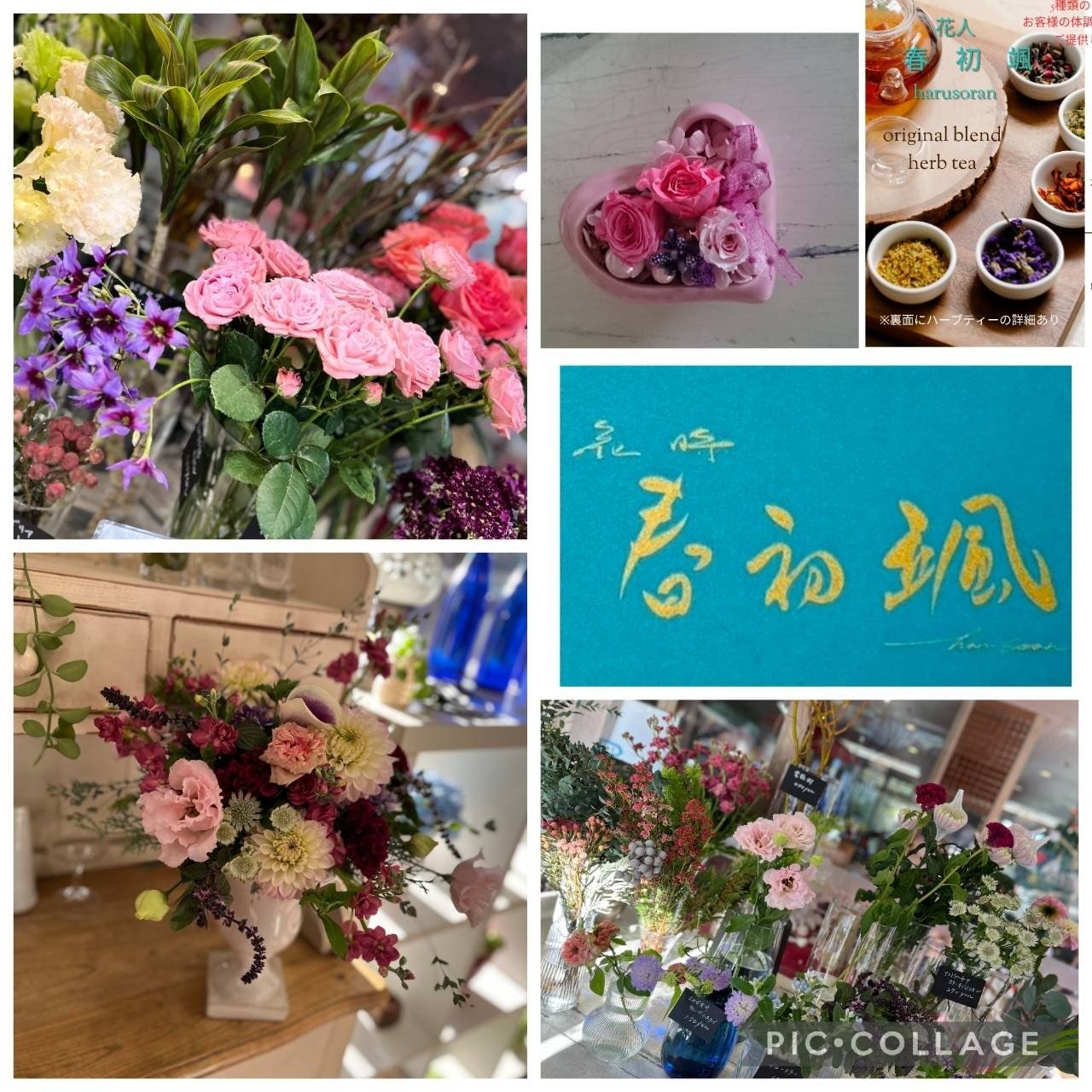 花時　春初颯（はるそらん）