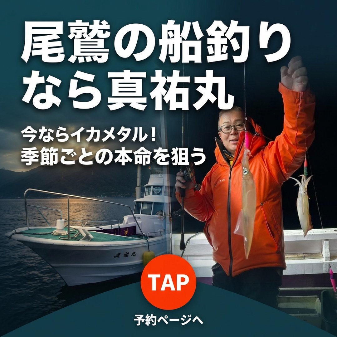 真祐丸｜尾鷲発 イカメタル＆アジ便 予約ページ