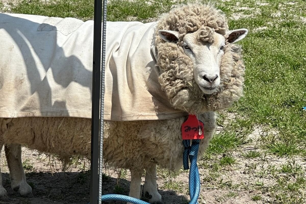 金賞受賞をした「みつき」ちゃん