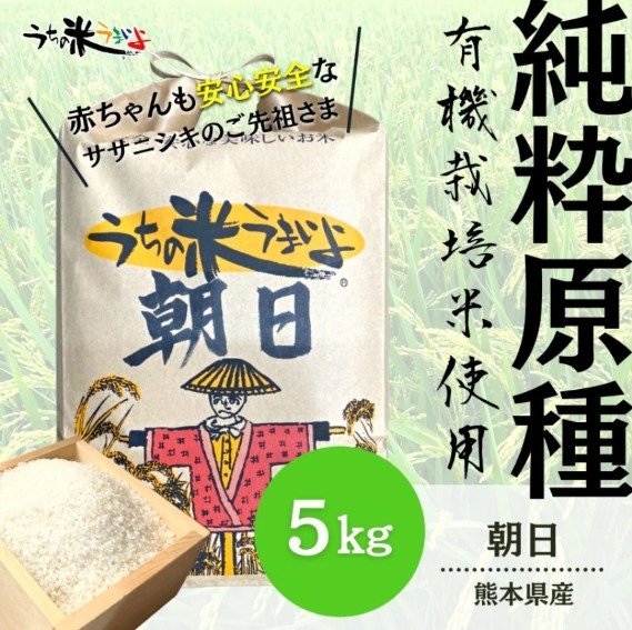5kg【純粋原種】うちの米　2025年度産　熊本県産　朝日【無農薬米/有機栽培米/有機JAS】