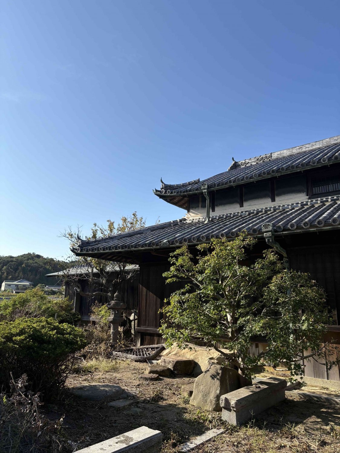 庭