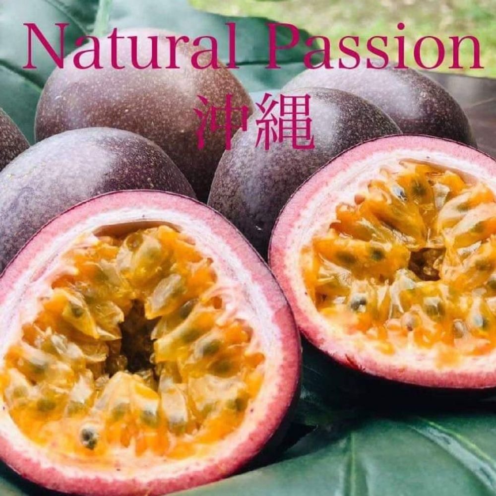無農薬パッションフルーツ沖縄産をお届けするNatural Passion 沖縄