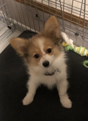 通販お知らせテスト