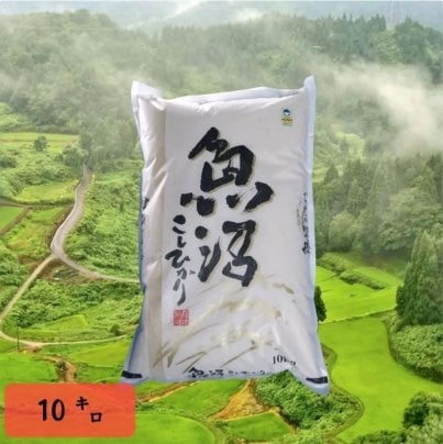 おすすめ商品追加しました！