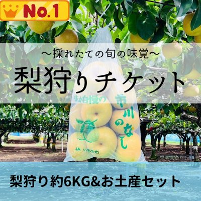 梨狩りご予約開始のお知らせ