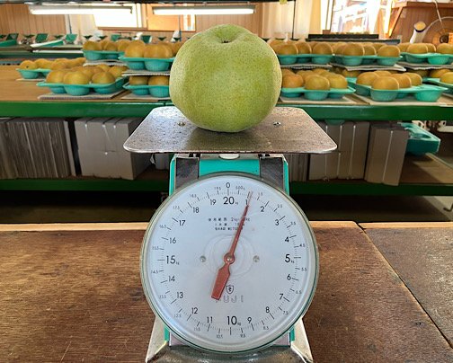 豊水・あきづき・かおり再販のお知らせ