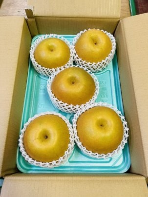 【梨の王様】新高最盛期！