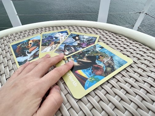 インスタ始めました