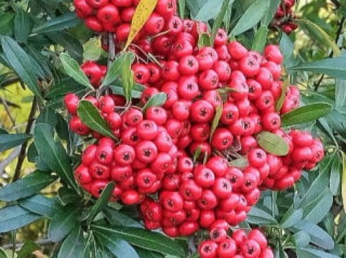 ブライトプロブラム　ベーシックを開催した時に　ハラハラ流れる涙