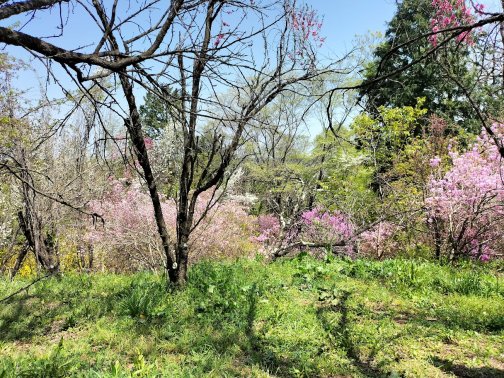 フルボ酸ってすごい！