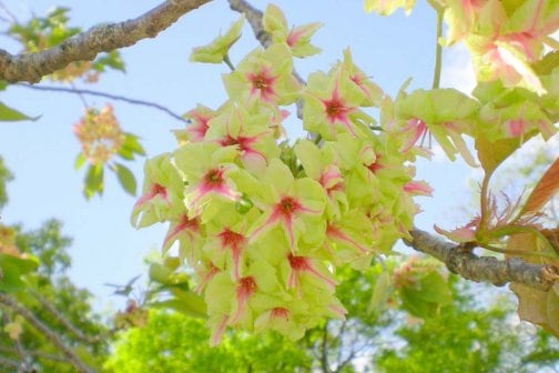 3月4月の予定表