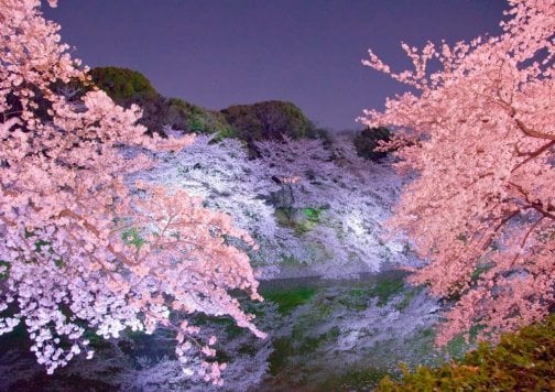 Xデー公開！33000円（ポイント）何度でも必ずもらえる企画発動♪