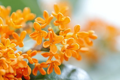 10月のスケジュール