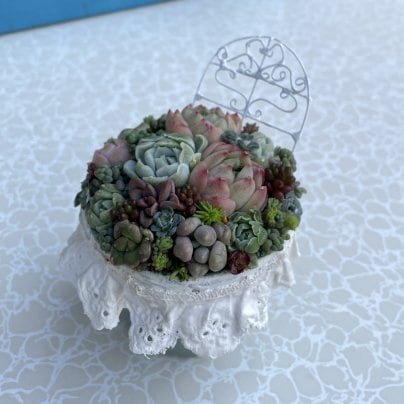 5月のイベント募集