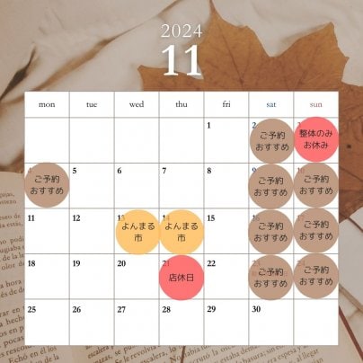 11月営業日のお知らせ✨