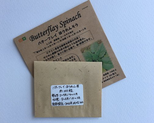 小分け種・ほうれん草、販売を一時停止しまーす。(･･;)