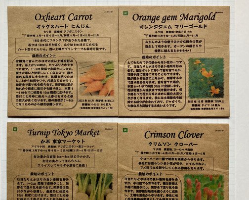 種のセット《ニンジンと愉快仲間たち》販売開始でーす！！