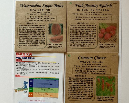 スイカの種、販売開始です！！*\(^o^)/*