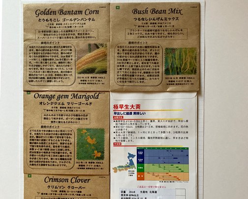 カボチャ、スイカの種、販売終了でーす！